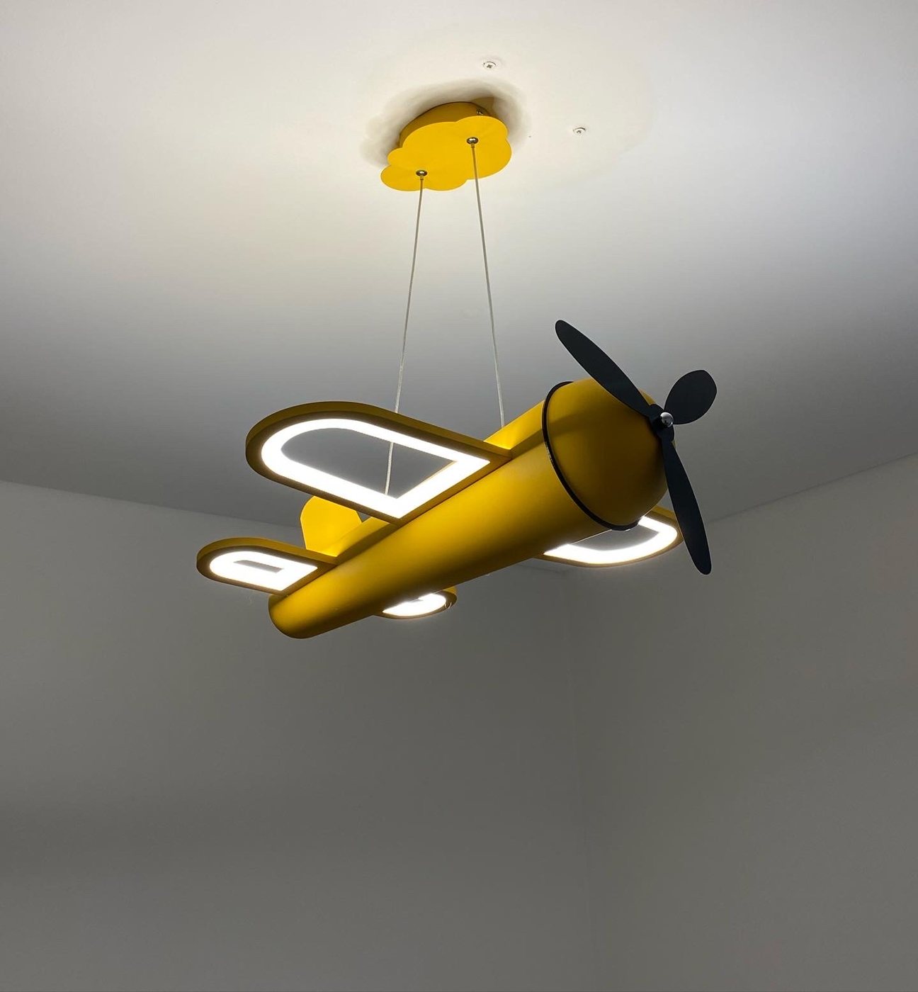 Feature Pendant Lighting by Wombat Power Services